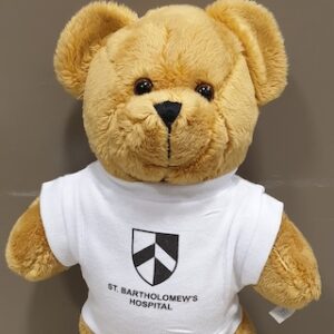 Teddy Bear 'Bart'
