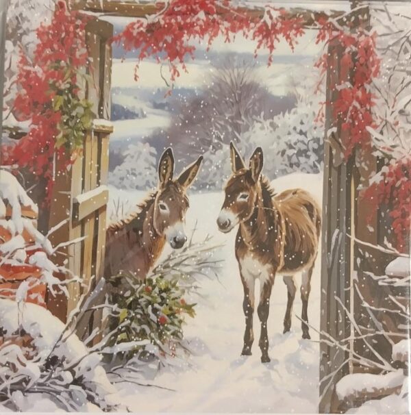 Christmas cards (Donkeys)