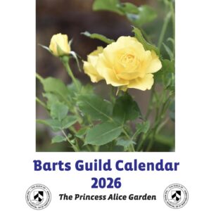 Guild Calendar 2026 - wall